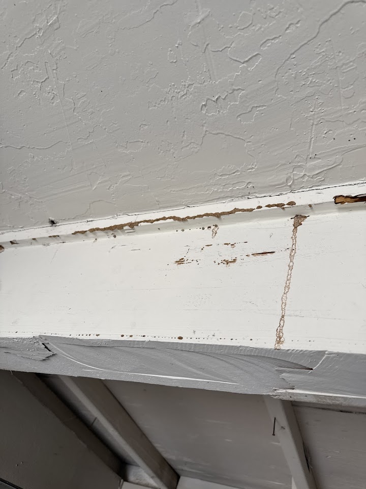 Budget Brothers Termite & Pest Elimination project