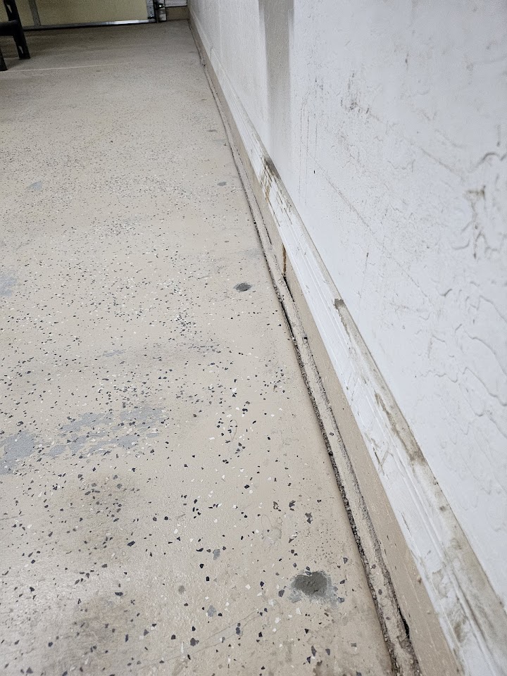 Budget Brothers Termite & Pest Elimination project